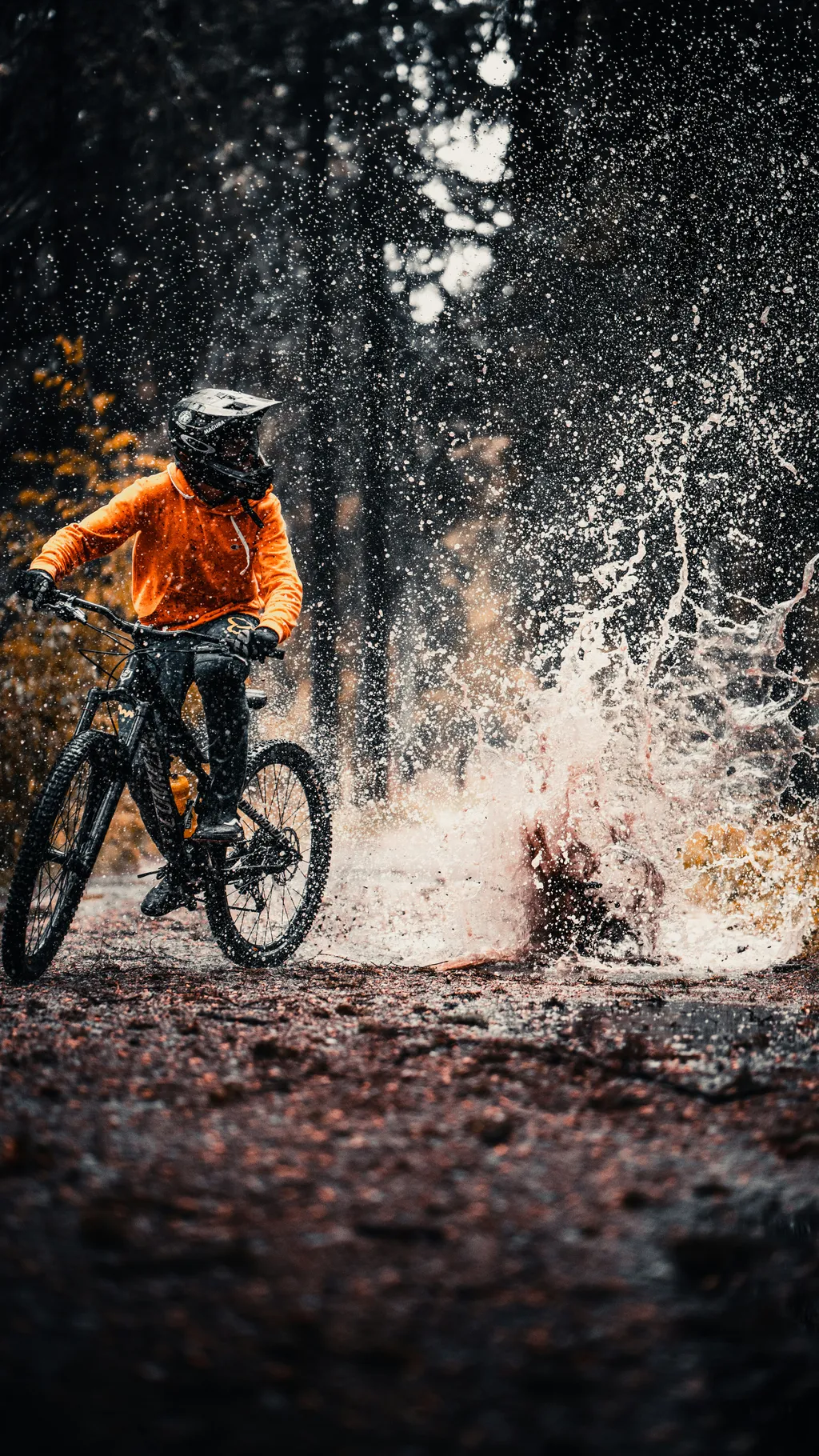 adrien vajas o3 3a EyNnY unsplash